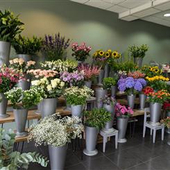 Let us choose your special handtied