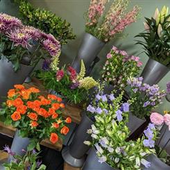 Florists Choice basket arrangement of Beautiful Flowers