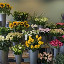 Florist Choice Seasonal Arrangement
