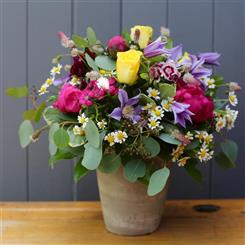 Aura hope Pot - A Seasonal Choice of Fresh Beautiful Flowers