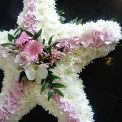 The pink and white star