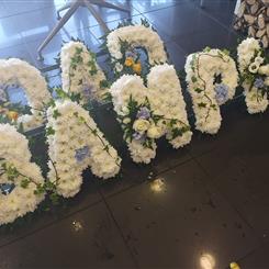 Farewell Bampi