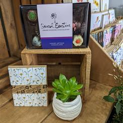 Chocolate and succulent gift set