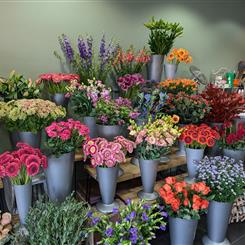Let us choose your special  bouquet