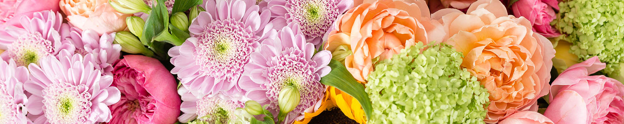Nicola Downie Florist