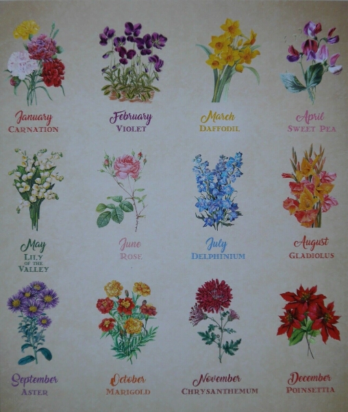 The Art of Floriography and the Month of May