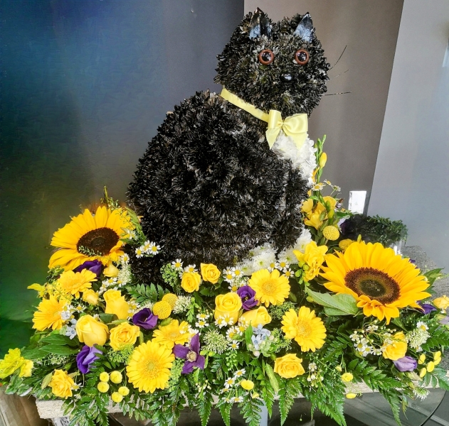 3D Black Cat