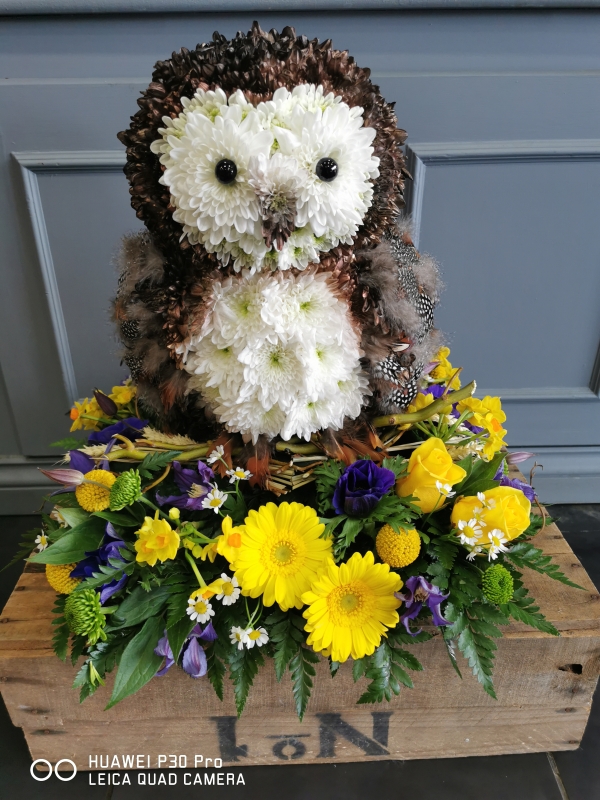 3D Brown Owl