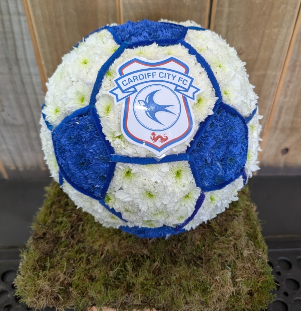 3D Football on Grass