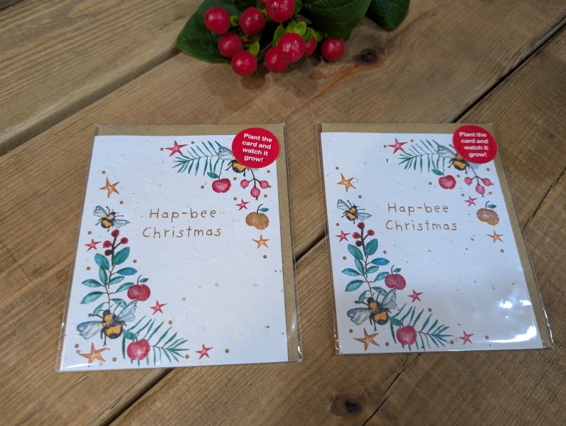 Hap Bee Christmas wild flower card