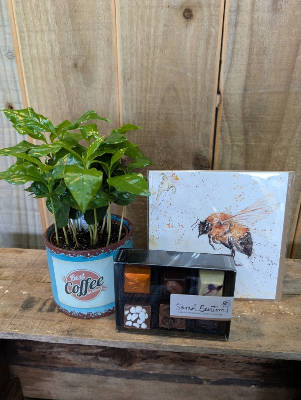 Arabica Coffee and Hand made chocolates giftset.