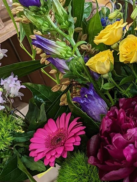 Felicia An eclectic selection of vibrant flowers