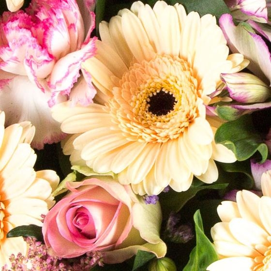 Florist's Choice Posy Arrangement