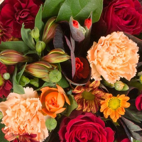 Florist's Choice Posy Arrangement