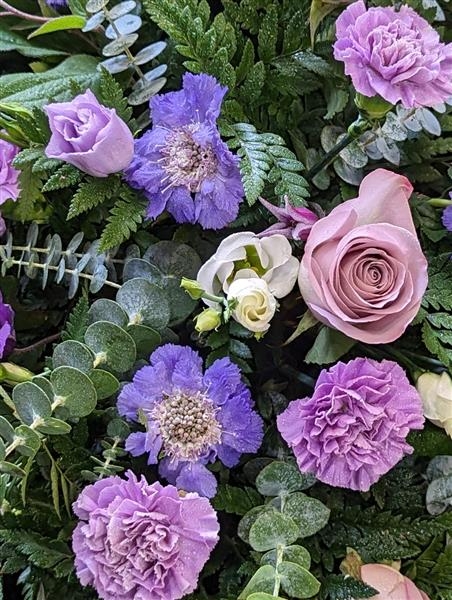 Lilac Rose and carnation casket spray
