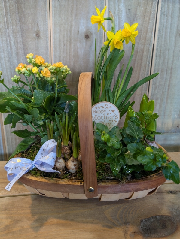 Mother's Day spring planted basket