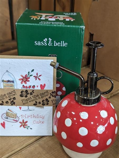 Mushroom mister gift