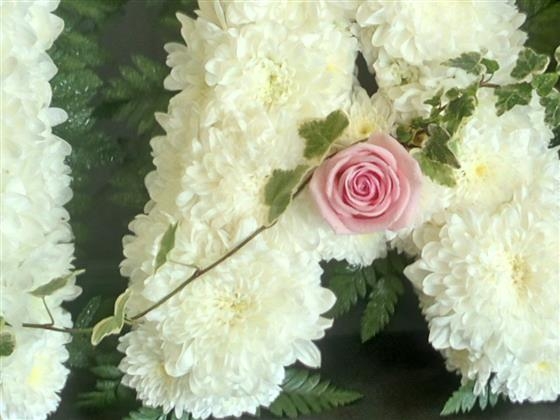 Nan tribute