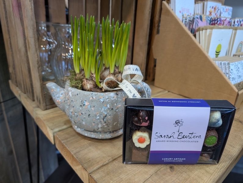 Spring Muscari gift set