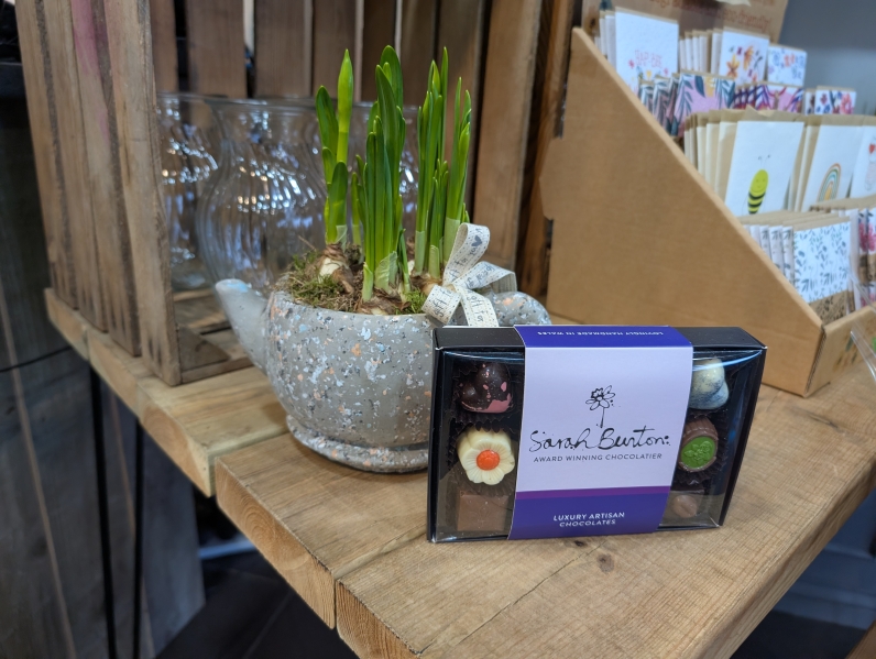 Spring narcissi teacup