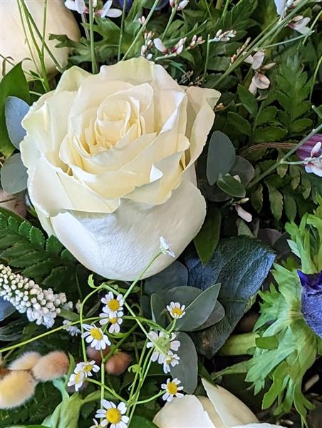 Scented Cream and Blue Spray