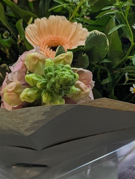Evelyn A scented collection of soft peaches and creams