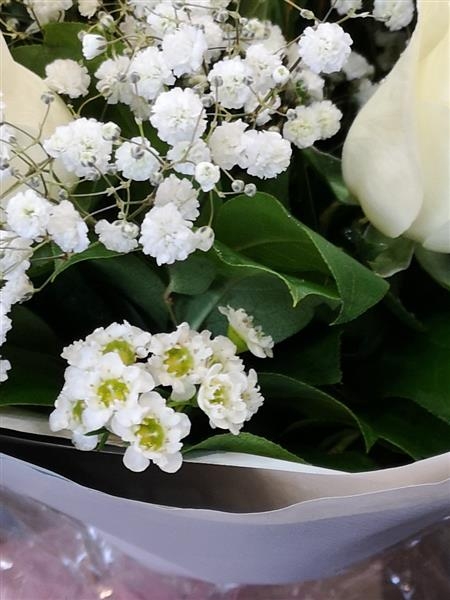 Darcey A scented collection of mixed roses.