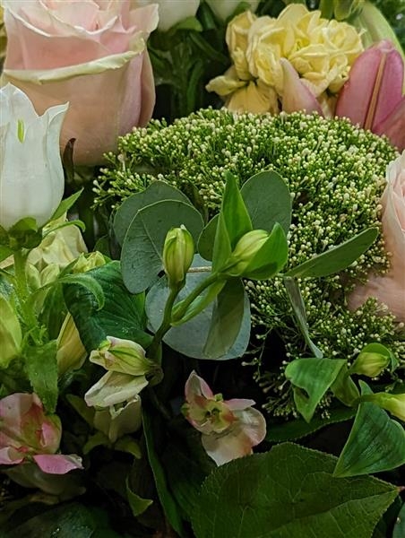 Seren   Beautiful Seasonal Flowers For Your Special Person