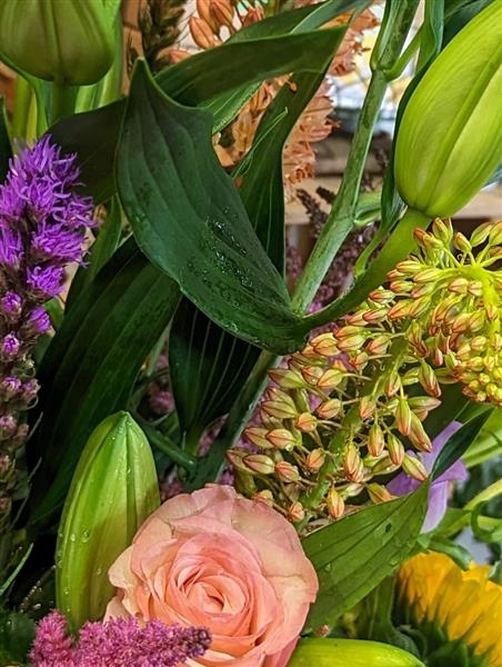 Ophelia A striking handtied of unusual bright blooms