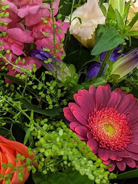 Vivienne A vibrant collection of orange and blue fresh blooms
