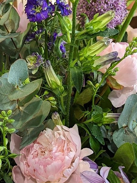 Marilyn A stunning collection of Pink and Purple flowers.