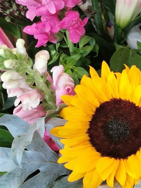 Summer A bright and beautiful collection of yellows and pinks.