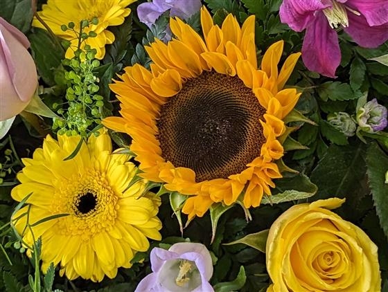 Sunflower and lilac rose casket spray