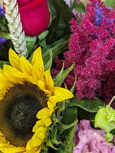 Clara A sunny collection of vibrant blooms