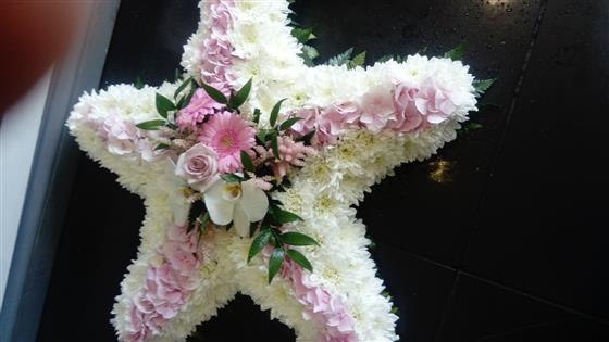 The Pink and White Star
