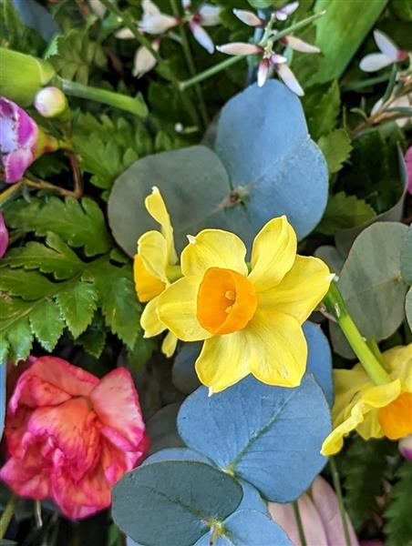Vibrant scented posy