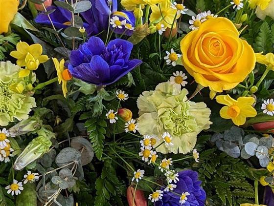 Vibrant yellow and blue casket spray