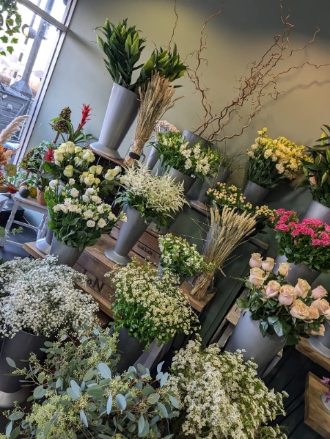 Florist's Choice Posy Arrangement