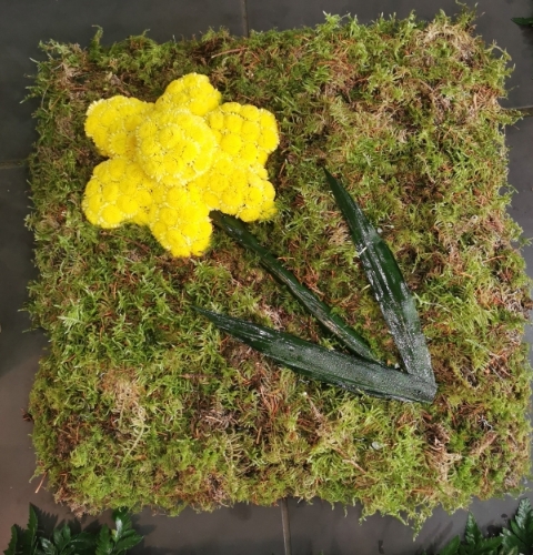 2D Daffodil
