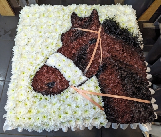 2D Racing Horse