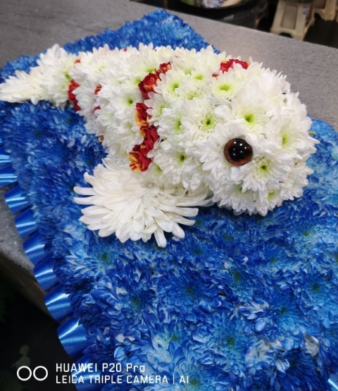 3D Fish