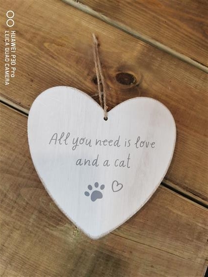 All you need is love and a cat hanger