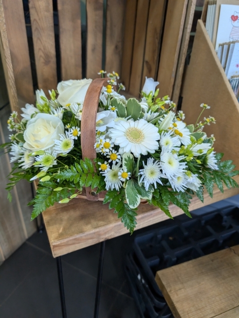 Amelia Basket in White and Cream