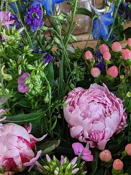 Georgia A gorgeous blue and pink handtied