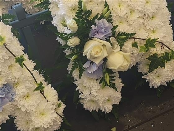 Farewell Bampi