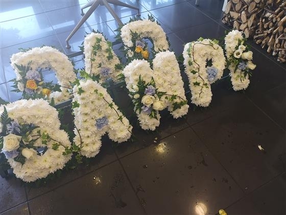 Farewell Bampi