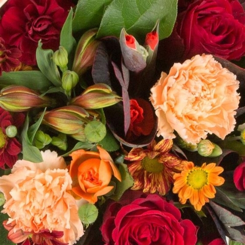 Florist's Choice Posy Arrangement