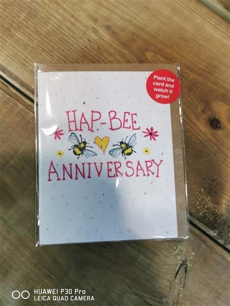 Hap  bee anniversary card