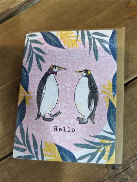 Hello Penguin seeded card