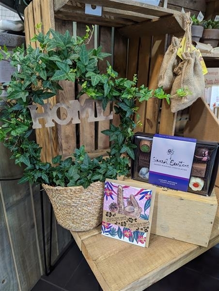 Ivy Home planted gift set